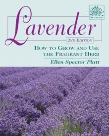 Lavender : How to Grow and Use the Fragrant Herb