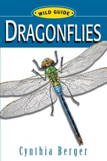 WG: Dragonflies