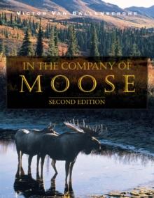 In the Company of Moose