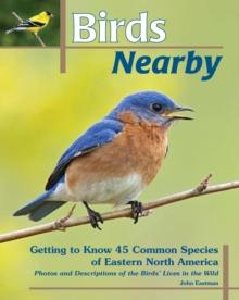 Birds Nearby : Getting to Know 45 Common Species of Eastern North America