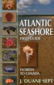 Atlantic Seashore Field Guide : Florida to Canada