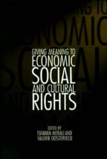 Giving Meaning to Economic, Social, and Cultural Rights