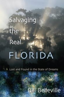 Salvaging the Real Florida : Lost and Found in the State of Dreams