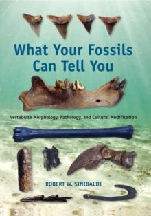 What Your Fossils Can Tell You : Vertebrate Morphology, Pathology, and Cultural Modification