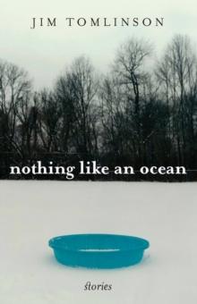 Nothing Like an Ocean : Stories