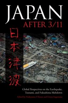 Japan after 3/11 : Global Perspectives on the Earthquake, Tsunami, and Fukushima Meltdown