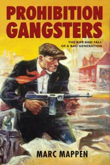 Prohibition Gangsters : The Rise and Fall of a Bad Generation