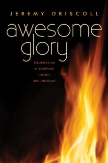 Awesome Glory : Resurrection in Scripture, Liturgy, and Theology