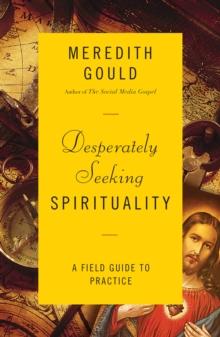 Desperately Seeking Spirituality : A Field Guide to Practice