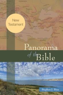 Panorama of the Bible : New Testament