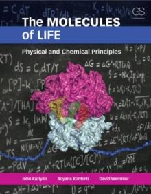 The Molecules of Life