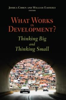 What Works in Development? : Thinking Big and Thinking Small