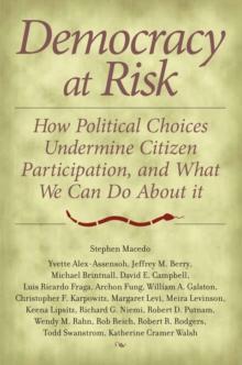 Democracy at Risk : How Political Choices Undermine Citizen Participation, and What We Can Do About It