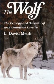 Wolf : The Ecology and Behavior of an Endangered Species