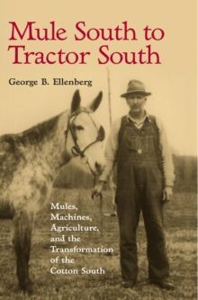 Mule South to Tractor South : Mules, Machines, and the Transformation of the Cotton South