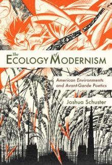 The Ecology of Modernism : American Environments and Avant-Garde Poetics