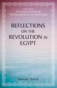 Reflections on the Revolution in Egypt