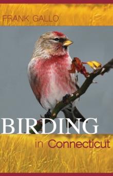 Birding in Connecticut