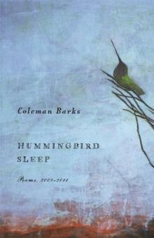 Hummingbird Sleep : Poems, 2009-2011