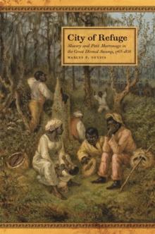 City of Refuge : Slavery and Petit Marronage in the Great Dismal Swamp, 1763-1856