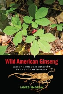 Wild American Ginseng : Lessons for Conservation in the Age of Humans