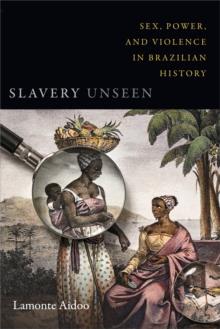 Slavery Unseen : Sex, Power, and Violence in Brazilian History