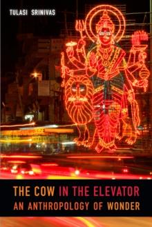 The Cow in the Elevator : An Anthropology of Wonder