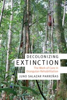 Decolonizing Extinction : The Work of Care in Orangutan Rehabilitation