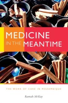 Medicine in the Meantime : The Work of Care in Mozambique