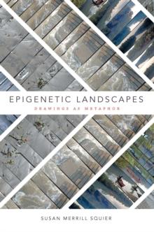 Epigenetic Landscapes : Drawings as Metaphor