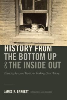 History from the Bottom Up and the Inside Out : Ethnicity, Race, and Identity in Working-Class History