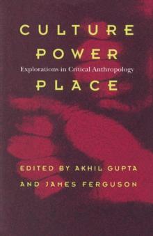 Culture, Power, Place : Explorations in Critical Anthropology