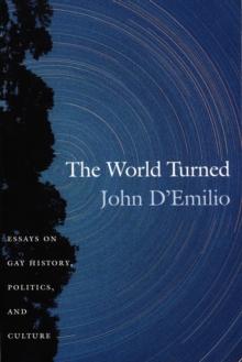 The World Turned : Essays on Gay History, Politics, and Culture