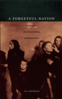 A Forgetful Nation : On Immigration and Cultural Identity in the United States