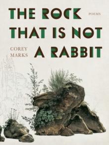 The Rock That is Not a Rabbit : Poems