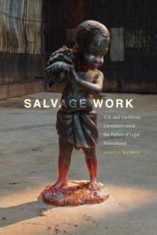 Salvage Work : U.S. and Caribbean Literatures amid the Debris of Legal Personhood