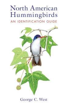 North American Hummingbirds : An Identification Guide