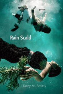 Rain Scald : Poems