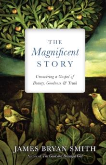 The Magnificent Story : Uncovering a Gospel of Beauty, Goodness, and Truth