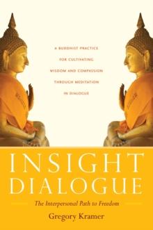 Insight Dialogue