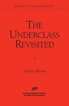 The Underclass Revisited