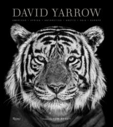 David Yarrow Photography : Americas Africa Antarctica Arctic Asia Europe