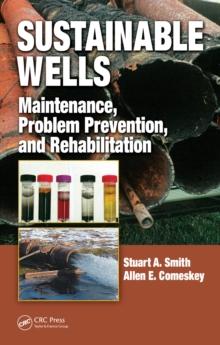 Sustainable Wells : Maintenance, Problem Prevention, and Rehabilitation