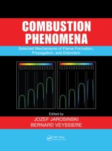 Combustion Phenomena : Selected Mechanisms of Flame Formation, Propagation and Extinction