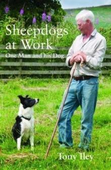 Sheepdogs at Work : One Man and His Dog