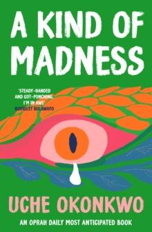 A Kind of Madness : A dynamic collection of short stories set in Nigeria exploring family, community and the struggle for survival