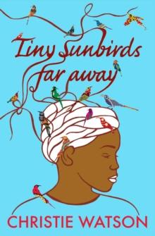 Tiny Sunbirds Far Away : From the author of The Courage to Care and The Language of Kindness, winner of Costa First Novel Award