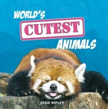 World's Cutest Animals