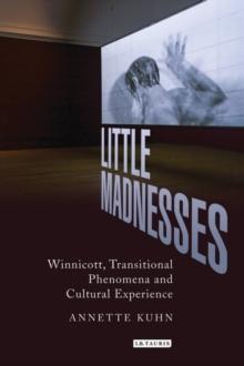 Little Madnesses : Winnicott, Transitional Phenomena and Cultural Experience