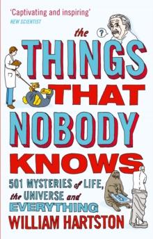 The Things that Nobody Knows